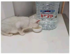 1643377344437122.png a1.png