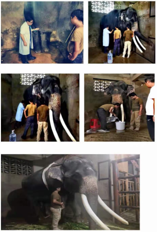 1643377369153081.png a2.png